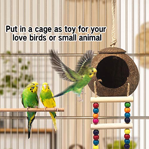 Hanging Coconut Birds House with Ladder, Natural Coconut Bird Nest | Coconut Hide Birds Swing Toys for Parrot Parakeet Lovebird Finch Canary for Hamster, Bird Cage Accessories, Pet Bird Supply