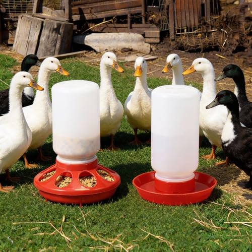 AceOrbit 12 Pcs 0.3 Gal Chick Feeder and 0.3 Gal Waterer Set Baby Chicken Supplies Poultry Starter Kit Plastic No Waste Chick Coop Brooder Accessories for Small Chicken Quail Pigeon Duckling Birds