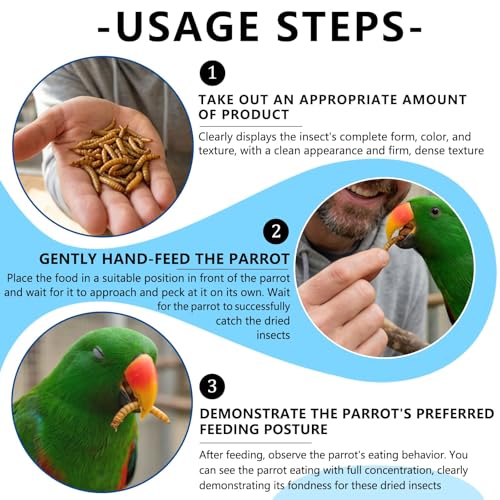 Premium Dried Mealworms for Birds, 4 oz Canister - 100% Natural Bird Food Wild Bird Treat - High Protein Feed for Chickens, Bluebirds, Robins & Wild Birds - Easy-Pour Container (4 oz)