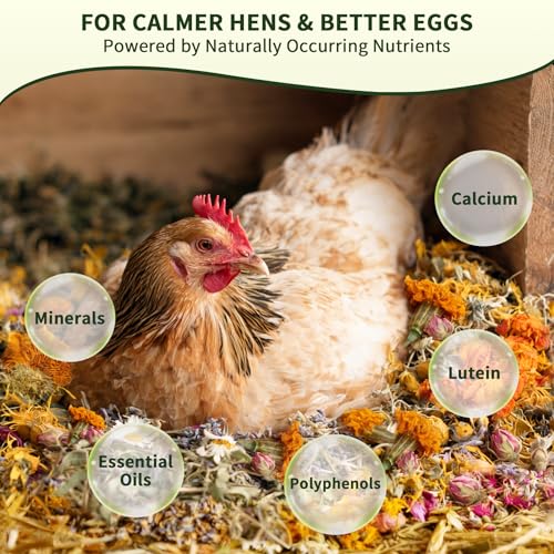 BGraceyy Chicken Nesting Herbs 32 oz – 11 Natural Dried Herb Blend with Marigold for Chicken Coop & Roost Refresh, Nesting Box & Dust Bath, Supports Natural Nesting Behavior - size: 32 ounce