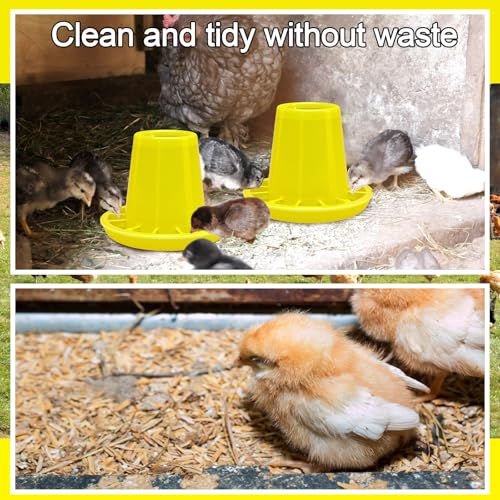 Funnymoom 12 Pack Small Chicken Feeder Bulk Chick Feeder Chick Feeding for Poultry Ducks Goose Quail Pigeons