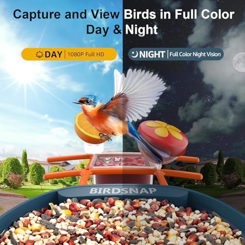 birdsnap® PAV Bird Feeder with Camera Solar Powered 2K Live Video 32GB Card | AI Bird Species Identification, Instant Arrival Alerts, IP65 Waterproof, Wild Bird Feeders for Outdoors, Gift for Bird Lovers - color: Blue