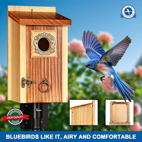 SISTERBIRD Premium Pack of 2 Bluebird Houses for Outside, Garden Bird Houses for Outdoor, Vintage Metal Predator Guard, Birdhouse Gift, Weatherproof Coating Bird Nesting, Assembly Required - color: Light Toast Vintage -- 2PK