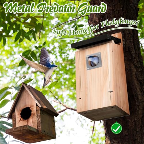 Dreyoo 2 Pack Bluebird Box Houses for Outside,1-1/2'' Entrance Hole Wooden Bird Houses with Metal Guard, Secure Latch,Fledgling Grooves,Air Vents for Bluebird Wren Swallow(Dark Wood) - color: Dark Wood