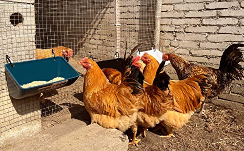 Chicken Feeder Waterer, Goat Feeder - 3 Pack, 5.5 Quart, for Goats Chickens Duck Sheeple Dogs Piglets Deers Gooses, Turkeys, Goat Supplies