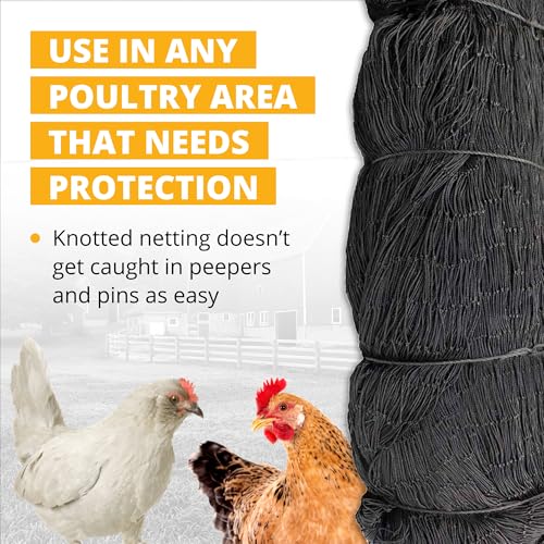 Stromberg’s 2” Mesh Heavy Duty Knotted Aviary Netting, UV Resistant Polyethylene Fiber for Birds, Pheasants & Poultry, 85 Lbs Break Strength Durable Against Weather and Predators, Size 100' x 100' | UV Resistant Polyethylene Fiber for Birds, Pheasants & P