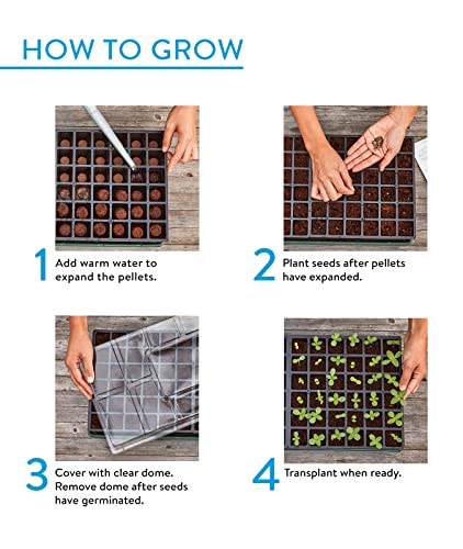 Burpee XL Self-Watering Growing System Indoor Seed Starting 10" W x 20" L x 5" H, 1 Kit (32 Cells) - color: 32 XL Cell Self Watering Kit