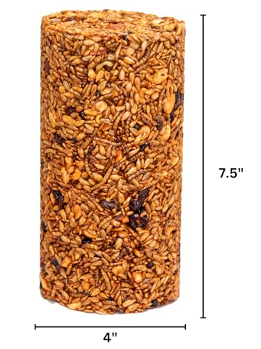 JCs Wildlife Squirrel Stopper Bugs Nuts & Berries Small Cylinder 1.5lbs (6-Pack) - size: 1 Count (Pack of 6)
