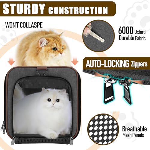 GAPZER Large Cat Carrier Soft, Collapsible Travel Pet Carry Bag, Small Dogs | Large Kitty Cat 20 lbs Maine Coon, Top Load Transport Small Puppy Dog Kennel, Yorkie Little Dog 10lbs, Ventilation Brown - color: Dark Grey-Brown