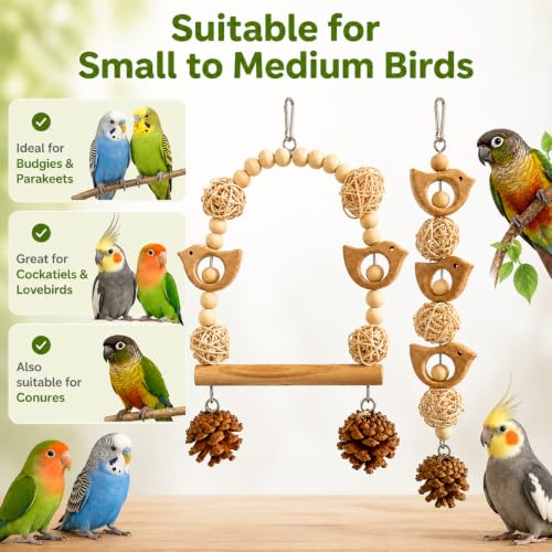 2PCS Bird Toys, Natural Wood Bird Cage Hanging Toys,Chew Shred Forage Toys for Parrots,Cockatiel,Conure,Love Birds,Parakeets,Budgie and Other Small Birds - style: Style 2