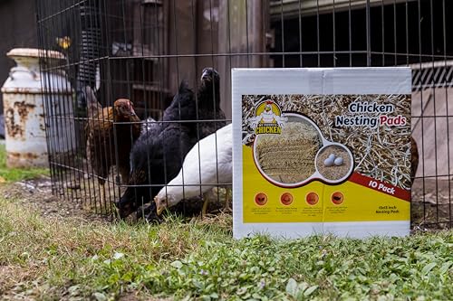 My Favorite Chicken Nesting Box Pads for Chickens - Accessories for Hens, Chicken Coops and Laying Eggs - Square Liners Fit in Your Coop - Natural Fiber Material Bedding Mats - style: Regular (No Herbs)