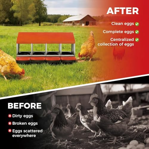  Chicken Nesting Box with Cleanable Pull Out Trays, 4 Hole Roll Away Nesting Box for Laying Hens, Wall Mount or Placed Design for Easy Egg Collection ﻿ - color: Orange, size: 4 Holes