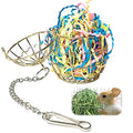 La La Pet® 2 Pack Rabbit Hay Feeder Hanging Guinea Pig Hay Feeder for Cage Bird Parrot Foraging Toys Bunny Grass Manger Holder Rack Feeding Dispenser for Small Animals Chinchilla