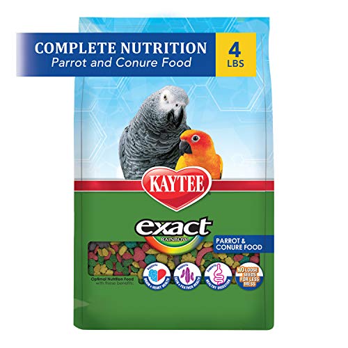 Kaytee Exact Rainbow Pet Parrot & Conure Food, 4 Pound - size: 4 Pound (Pack of 1)