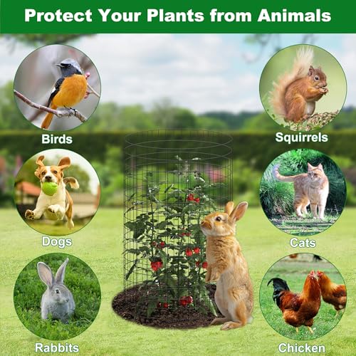 winemana 12 Set Garden Plant Protector Cage,36 Pcs 16x12 in Metal Wire Protectors for Plants Protection Cages with Stakes Ties Animals Barrier to Keep Rabbit Chicken Away from Flower Vegetables(Black) - color: Black, size: 16 IN x12 IN