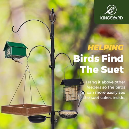 Kingsyard Metal Upside Down Double Suet Bird Feeder | Weatherproof Roof, Great for Downy Woodpecker Nuthatch Chickadee Backyard Birds, Green