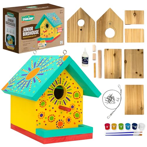 Jr Bird House Kit, DIY Cedar Wood Birdhouse for Outdoors with Paint | Fun for Kids & Adults, Bird House Making Kit for All Ages (1-Pack)