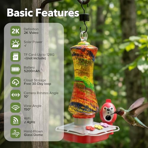 Hummingbird Feeder with Camera, 2K Smart Bird Feeder with AI Bird Detection & App Alerts, Solar Powered Bird Feeder Camera with Water Level Monitor, Hand-Blown Glass Hummingbird Feeder for Outdoors