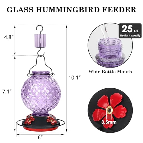 25 OZ Glass Hummingbird Feeder for Outdoors, Leak Proof Hummingbird Feeder with Ant Moat, 4 Bee Resistant Feeding Ports, Easy Clean Wide Mouth Design, Hanging Nectar Feeder, Purple - color: Purple - 25oz
