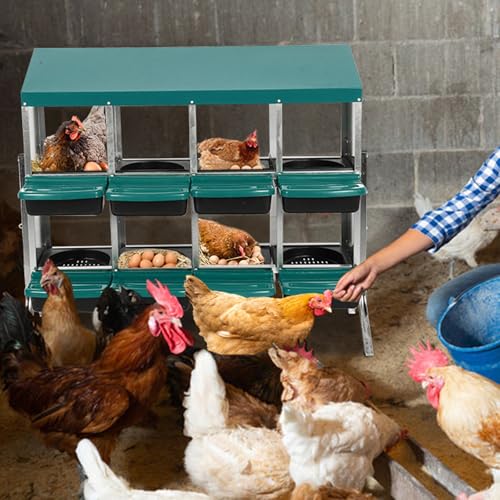 Chicken Nesting Box, Green 8 Hole Chicken Laying Box with Bracket, Tray for Egg Collection, Large Holes for Ventilation, Suitable for Chickens & Ducks - color: Green, size: 47.2"L x 17.7"W x 35.4"H