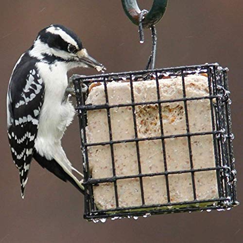 More Birds Suet Cage Bird Feeder, Fruit and Suet Feeder, Single Cake Capacity ,Black - color: Black, size: Single Cake, style: Suet Cage