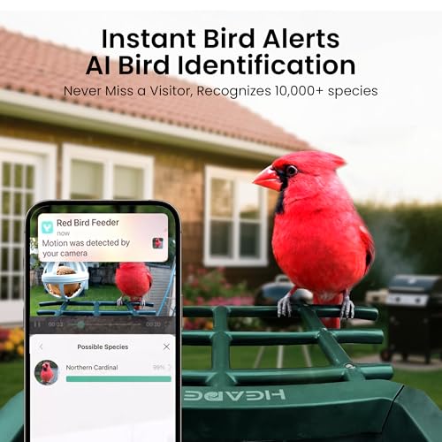 Smart Bird Feeder with Camera Solar Powered, 2K HD Video, AI Bird Species Identification, Instant Arrival Alerts, Weatherproof Design for Effortless Birdwatching, Best Gift for BirdLovers, Red - color: Green-Red