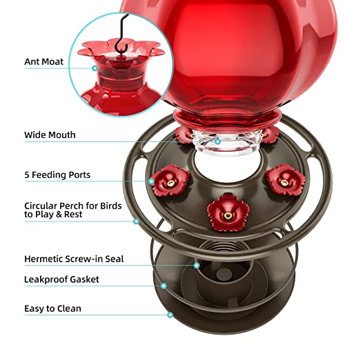 Auslar Glass Hummingbird Feeders for Outdoors Hanging, Red, 23 Oz | Hummingbird Feeder with Ant Moat & 5 Anti-Bee Feeding Ports, Ant and Bee Proof, Leakproof, Easy Clean and Fill, Garden Decor