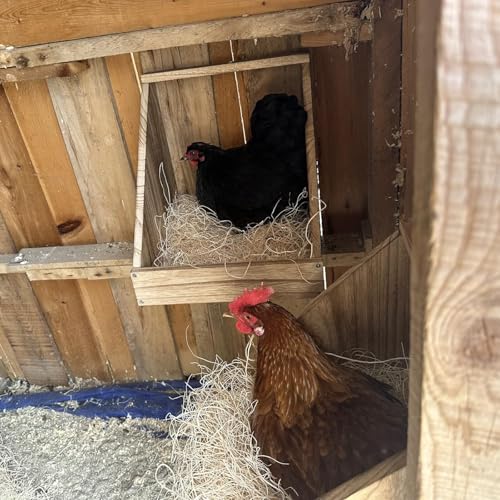 2 Pack Chicken Nesting Box, Wooden Chicken Coop, Chicken Coop Accessories, Chicken Laying Nest Box for Poultry Farm, Poultry Nesting Boxes with Nest Box Pads