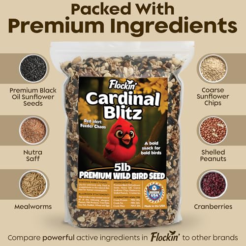 Cardinal Bird Seed, Sunflower Seeds, NutraSaff, Peanuts & Mealworms, 5lb | Premium No Filler Blend to Increase Wild Bird Activity, Attracts Cardinals & Various Songbirds to Backyard Feeders, USA Made