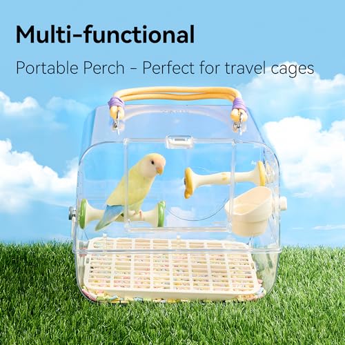 Apple Shape Parrot Perch Stand Ceramic Beak Grinding Stone Toy for Nail Trimming - Cage Accessories for Parrot, Budgie, Cockatiel, Lovebird, Other Small Medium Birds (Green)