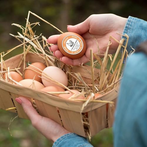 800PCS Unwashed Farm Fresh Egg Carton Stickers,2 inch Round Colorful Eggs just got Laid Carton Labels,self Adhesive roll Packaging Stickers for Farm Stand Supplies and Small Business - style: Unwashed Egg Stickers