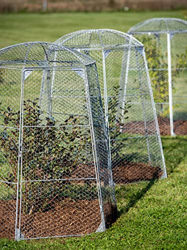 Gardener's Supply Company Chicken Wire Super Dome Plant Protector | Durable Weatherproof Low Carbon Steel Hinged Doors for Easy Access | 45" (Side to Side) 51.5" Height