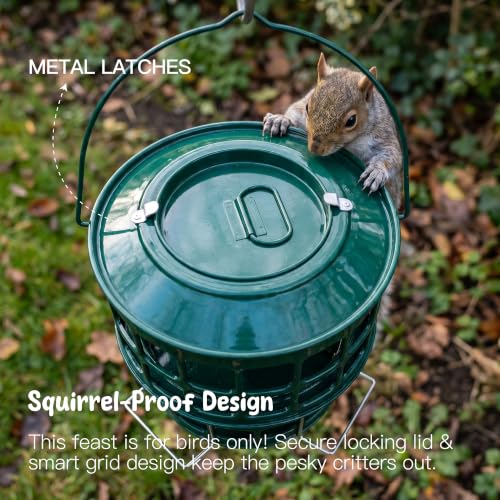KOL All-Metal Suet Bird Feeder, Heavy-Duty Double-Layer Suet Ball Feeder for Wild Birds, 360° Feeding with Drainage Tray, Ideal for Suet Balls and Seed Cakes (Jasper) - color: Jasper