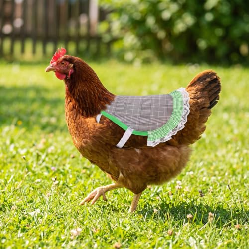 6Pcs Chicken Saddle Apron Lace Poultry Apron for Small Chickens | Breathable canvas fabric,adjustable elastic straps,full feather protection,fit small medium hens,smooth scratch-proof edges - color: Sweet Fruit & Plaid Series