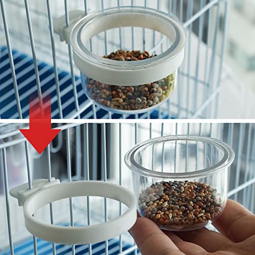 4 pcs Detachable Transparent Bowls for Canary Finch Parrot Seed Water Feeder