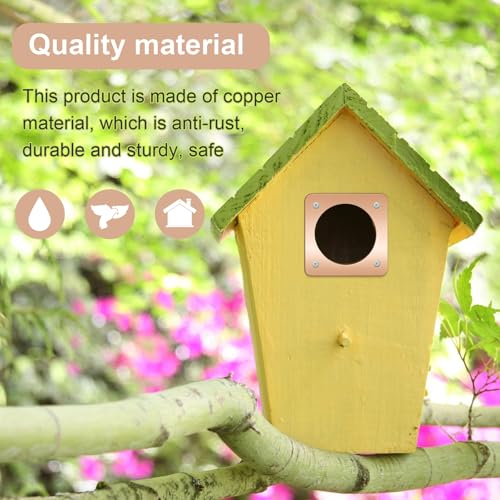Hotop 12 Pcs 1 1/2 Inch Opening Bluebird Metal House Hole Guard Portal Bird House Protect Bird Room Guard Copper Portal with Opening for Eastern Bluebird Rooms Sparrow Houses(Rose Gold) - color: Rose Gold, size: 1 1/2 Inch, style: Opening