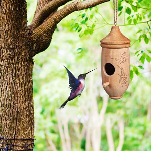 NUOBESTY Hummingbird House, 3 Pack Natural Beech Wood Bird House for Outside Hanging, Small Bird Nest Shelter for Finch Chickadee, Home, Outdoors, Garden Decor