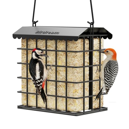 Birdream Double Suet Bird Feeders for Outdoors, All Metal Bird Suet Cakes Cage Holder with Weatherproof Roof, Easy to Refill & Clean, Attract Woodpeckers, Chickadees, Nuthatches, Black