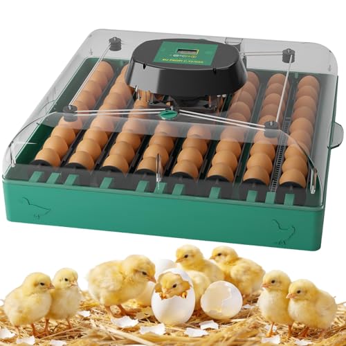 72 Eggs Hatching Incubator for Chicken/Duck/Quail | Automatic Egg Turner, Humidity Control, Digital Temp, 360° Clear View, Ideal for Lab School Farm