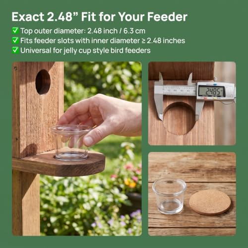 SUPVOX 1 Pack Oriole Feeder Replacement Glass Cup | 2.5 Inch Universal Bird Feeder Jelly Bowl, Glass Feeding Cup for Hummingbird Feeders, Outdoor Garden Patio Balcony Use