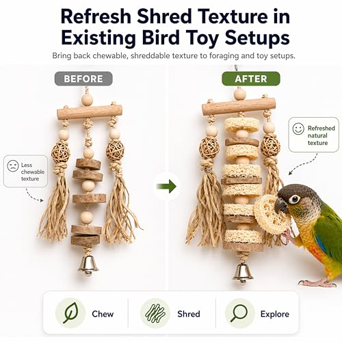 Parrot Shredding Chew Foraging Toys, 10pcs Loofah Chewing Parrot Toys, Bird Cage Shredder Toy, Bird Toy for African Grey Macaws Cockatoos Cockatiel Conure (10 Loofah Slices)