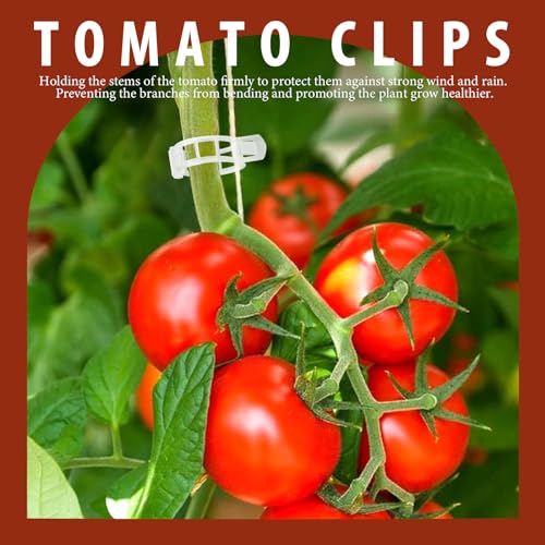 FANDAMEI 300 PCS Plant Support Clips, Plastic Garden Plant Ties, Tomato Clips Trellis for Tomato Cucumber Flower Squash Vine, 1” Inner Diameter for Climbing Plants
