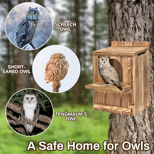 Large Owl House with Wood Shavings, Carbonized Pine Wood Nesting Box | Outdoor Owl Nesting Box with Ventilated Design and Easy Cleaning Access for Barred Owls, Screech Owls and Backyard Wildlife