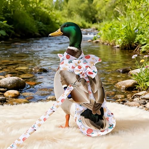 Chicken Diapers for Hens, Roosters, Diapers for Ducks with Walking Leash, Reusable Pet Duck Diapers Chick Clothes Waterproof Poultry Nappies for Geese Pet Ducks Chicken-Mushroom, M - size: M