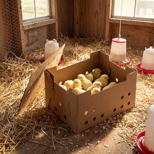 Feifeiya 10 Set Poultry Baby Chick Shipping Boxes with 10 Coconut Blankets Live Bird Shipping Boxes Cardboard Pet Carrier Hold 25 Chickens for Poultry, Pigeons, Canaries