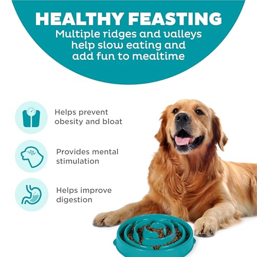 Outward Hound Fun Feeder Slo Bowl – Large 4‑Cup Capacity, Slow Feeding, Medium to Large Dogs, Non‑Slip, Turquoise, Drop Pattern - color: Turquoise, size: Large