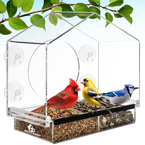 Gray Bunny Window Bird Feeder House – Suction Cup Mount Feeder | Suction cup bird feeder, birdhouse window, suction bird house, strong suction cups, easy to clean - style: Large House