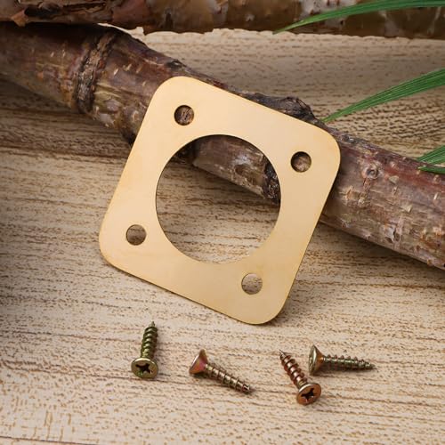 POPETPOP Birdhouse Predator : 8Pcs Metal Birdhouse Hole Protector with Screws Predator Guards for Houses - House Entry Copper Portal Hole Protector, Golden
