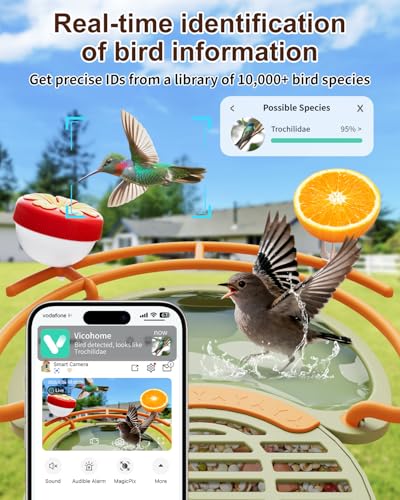Bird Feeder with Camera, Bird Bath, Solar Powered, 2K HD, Wireless | Enjoy crisp 2K video, AI bird recognition, solar charging, bird bath design, night vision and instant app motion alerts. - color: Light Green, size: With BirdBath