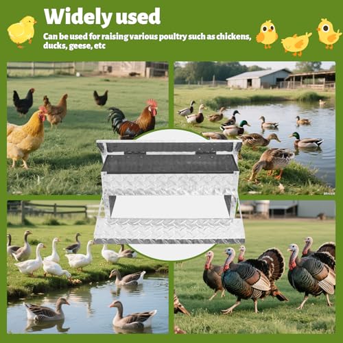 Treadle Chicken Feeder Automatic Large Poultry Feeders Capacity Treadle Self Opening Pou with Weatherproof Lid Rain Cover for Roosters Pheasant Chicken Outdoor Coop Silver Full Aluminum(11lbs/5000g) - size: 11LB Capacity